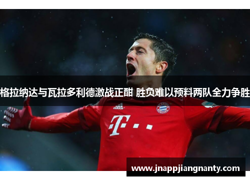 格拉纳达与瓦拉多利德激战正酣 胜负难以预料两队全力争胜