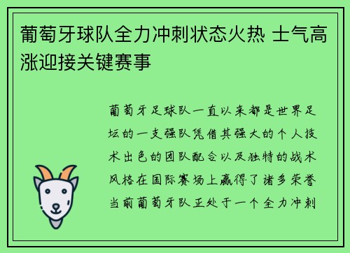 葡萄牙球队全力冲刺状态火热 士气高涨迎接关键赛事