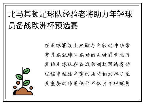 北马其顿足球队经验老将助力年轻球员备战欧洲杯预选赛