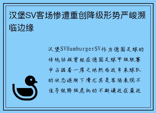 汉堡SV客场惨遭重创降级形势严峻濒临边缘